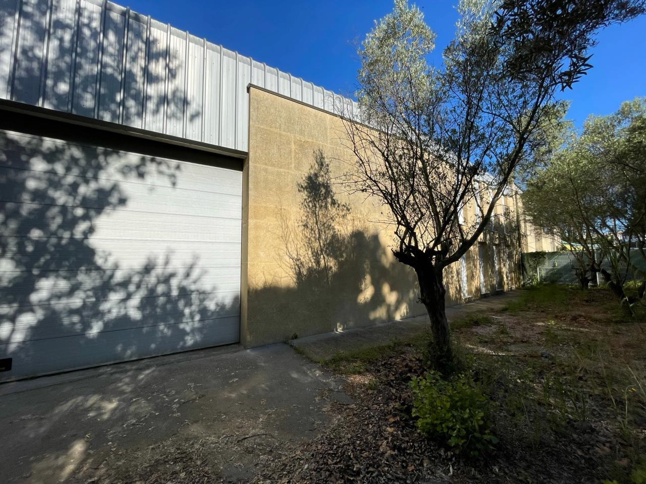 Local d'activité Montpellier 739m² Vente local d'activité Montpellier Hérault OVACT2532440 8